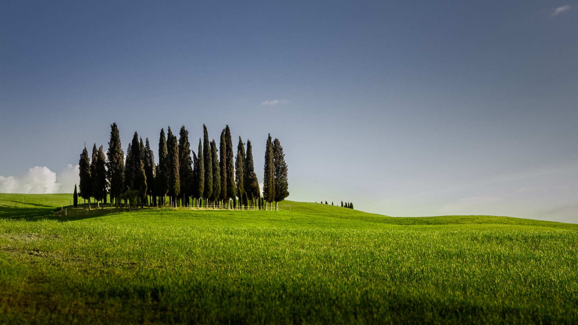 Colline Senesi Cipressi tra Torrenieri e San Quirico d Orcia