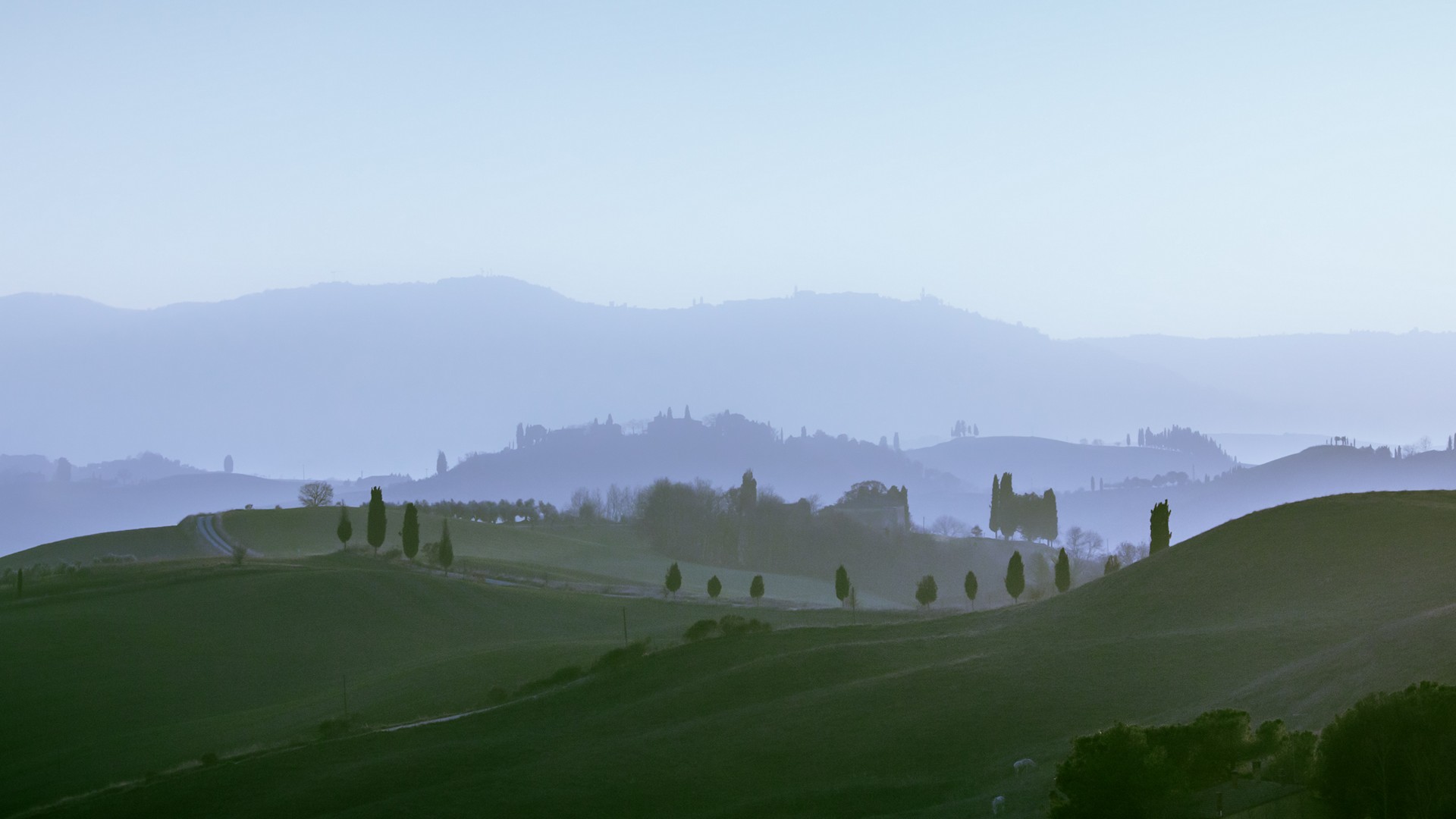 Colline Senesi Foschia Blu tra Torrenieri e San Giovanni d'Asso