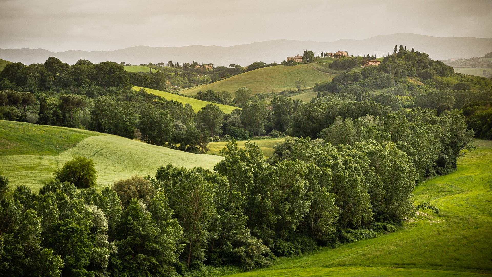 Colline Senesi Valle Verde tra Monte Oliveto Maggiore e Buonconvento