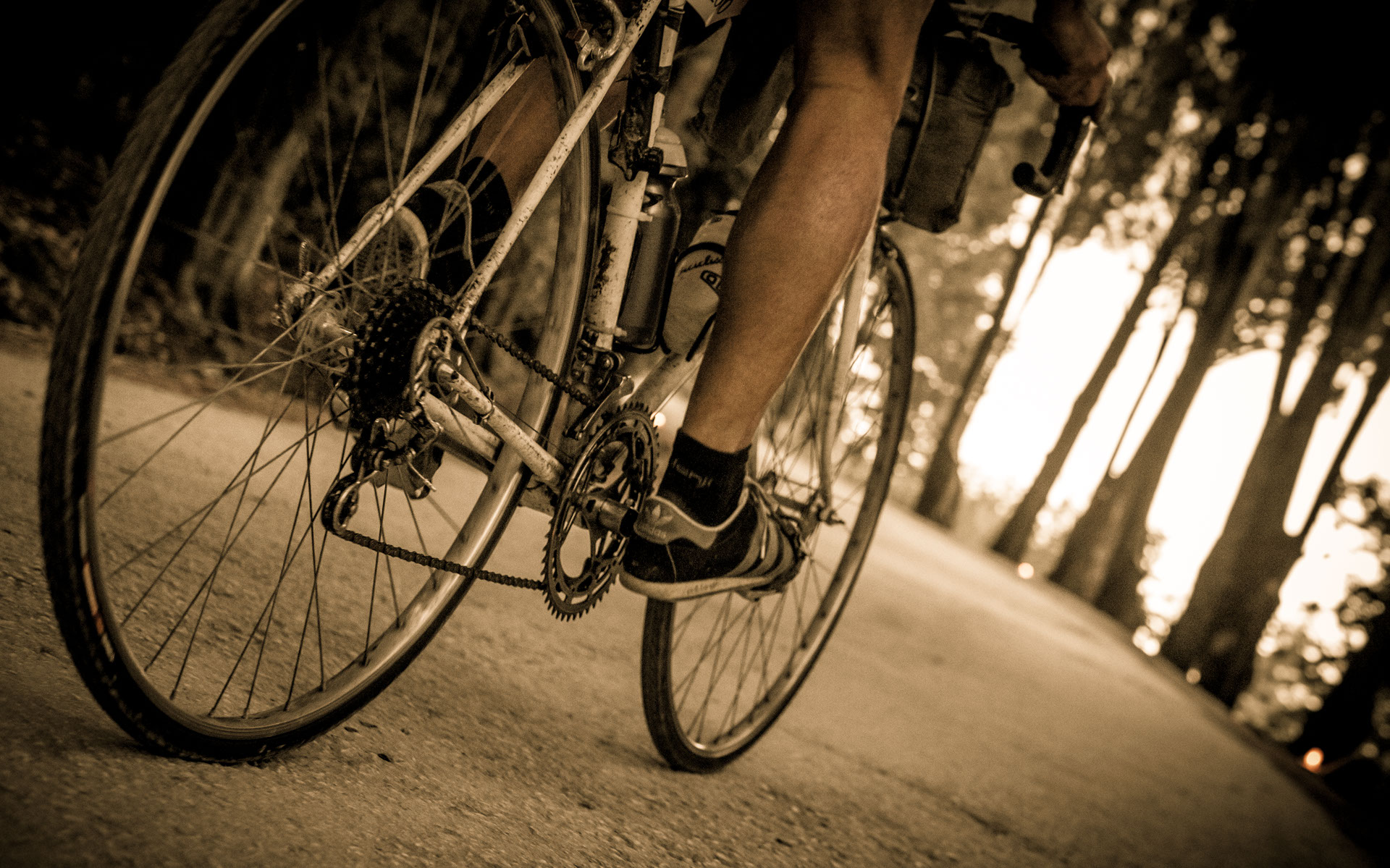 L'Eroica 2014 Foto Dettaglio Cambio Ingranaggi e Catena Bicicletta